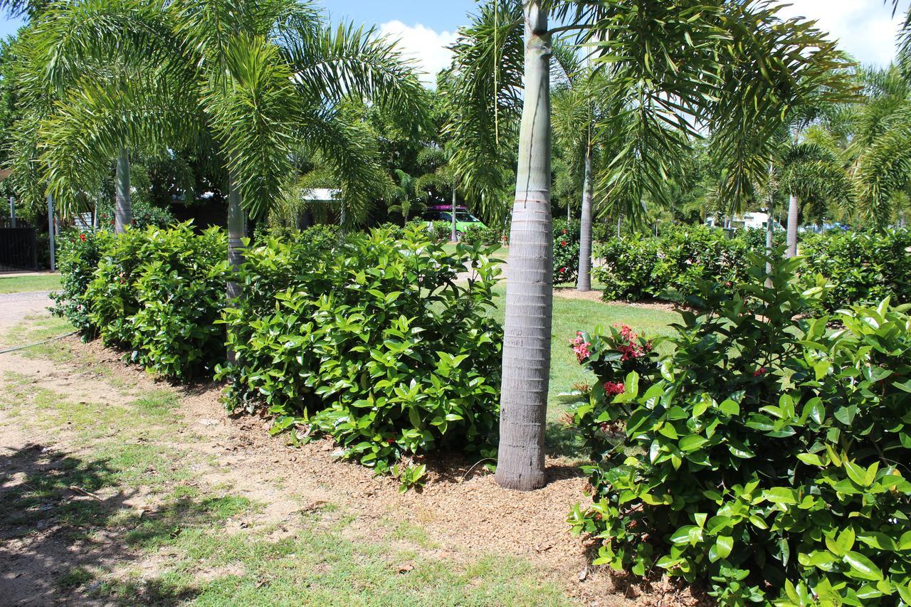 Dunk Island View Caravan Park Wongaling Beach Exterior foto